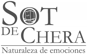 LOGO-BLACK LOGO-BLACK