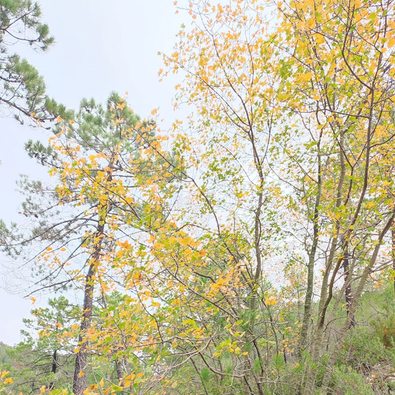 otorno-landing-2 otorno-landing-2